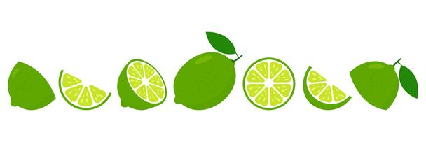 Friss lime szeletek. Vágott lime gyümölcs szelet limonádé lé vagy C-vitamin logó. Citrus ikonok vektor illusztráció elszigetelt fehér alapon. - Vektor, kép