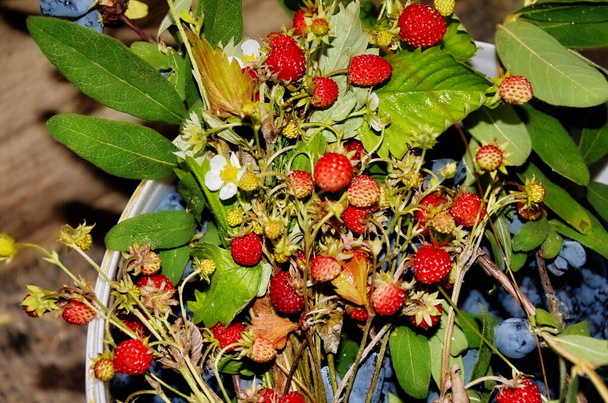 Harvest of forest strawberries and chimes of Kamchatskaya. Summer vitamin berries. Lonicera xylosteum and Fragaria vesca berries - Photo, Image