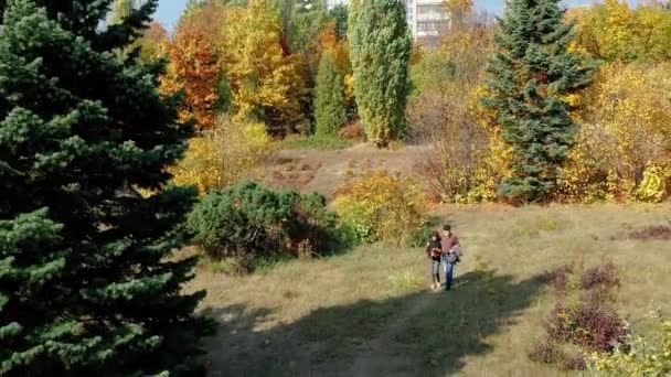 Pair of senior citizens strolling through the park holding hands in warm sunny autumn weather. Grandmother with bouquet of leaves enjoy a walk with grandfather in the forest in the morning, top view. - Footage, Video