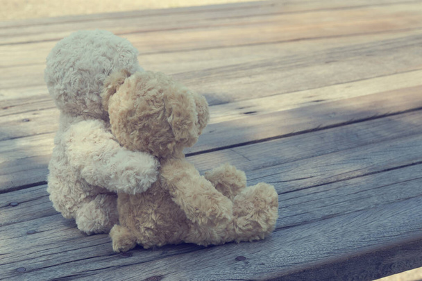 Two teddy bears hugging picnic in the park sit on wooden. vintage style. - Photo, Image