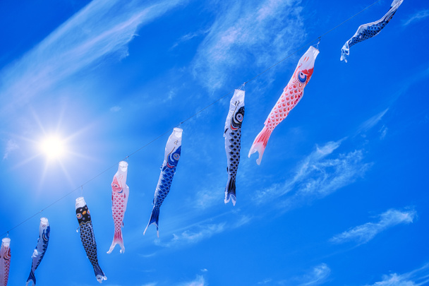 Koinobori leijat - perinteinen lastenpäivän festivaalin koristelu Japanin kultaisen viikon aikana. Karpin muotoiset tuulisukat lentävät sinisellä taivaalla aurinkoisena päivänä
. - Valokuva, kuva