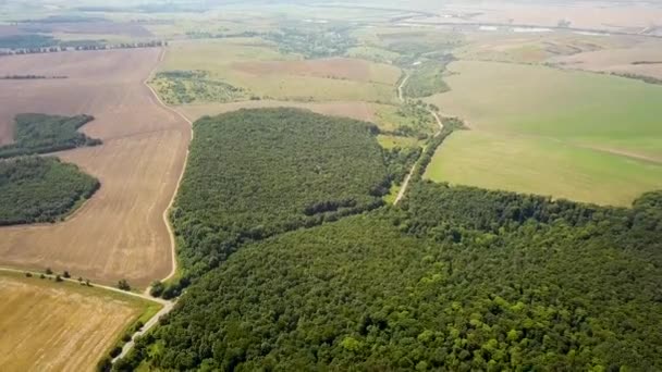 Antenni näkymä vihreä kesä metsä monia tuoreita puita ja maaseudun maatilan aloilla. - Materiaali, video