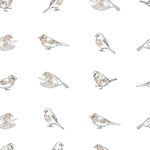 Hand drawn sparrows. Vector  seamless pattern - Vector, Image