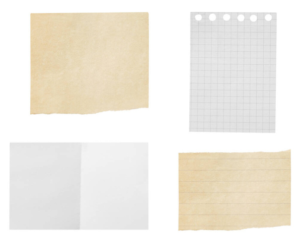 verzameling van verschillende gescheurde stukken papier op witte achtergrond. elk afzonderlijk wordt geschoten - Foto, afbeelding