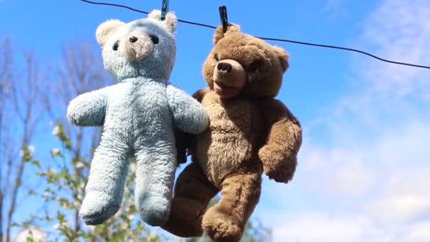 Treue Freunde tragen nach dem Waschen Bären, Platz für Werbetexte - Filmmaterial, Video