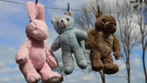 Együtt lógni és kiszáradni Kutya és Medve babák barát után - Felvétel, videó