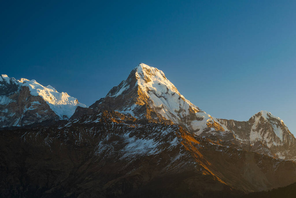 Machapuchhare mountain top in the Himalaya range, seen from Poon Hill tower in Nepal. - Foto, afbeelding