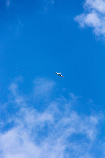 Πουλί που πετάει ψηλά στον καταγάλανο ουρανό - Φωτογραφία, εικόνα