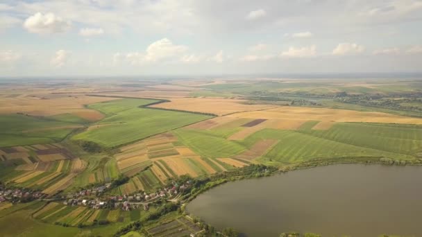 Uitzicht vanuit de lucht op een meer omringd door gele landbouwvelden en kleine dorpshuizen in het landelijke herfstgebied. - Video