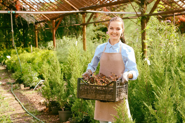 Bonito jardinero joven con plantas decorativas en caja de plástico
 - Foto, imagen