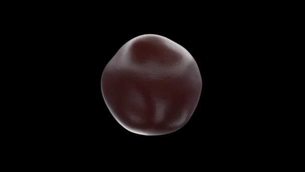 Animación de gotas de chocolate con leche sobre un fondo negro aislado. Lazo inconsútil 3d render
 - Metraje, vídeo