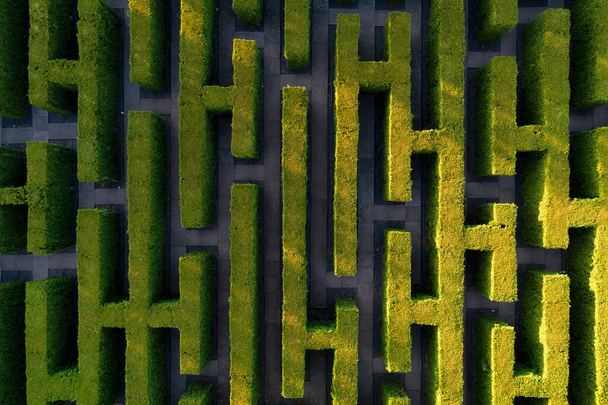 Zöld labirintus a kertben geometriai szimmetria labirintus Légi drón nézet - Fotó, kép