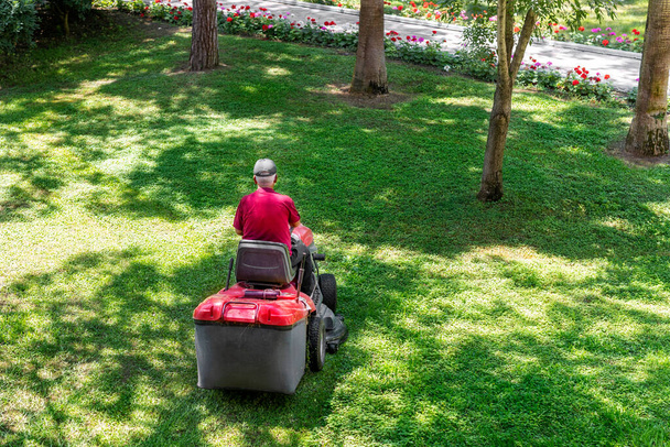 Profesyonel çim biçme makinesi işçisinin tepeden aşağı manzarası. Şehir parkında pelerinli traktör teçhizatıyla taze yeşil çim kesiyor. Bahçe ve arka bahçe çim biçme makinesi servisi ve bakımı - Fotoğraf, Görsel