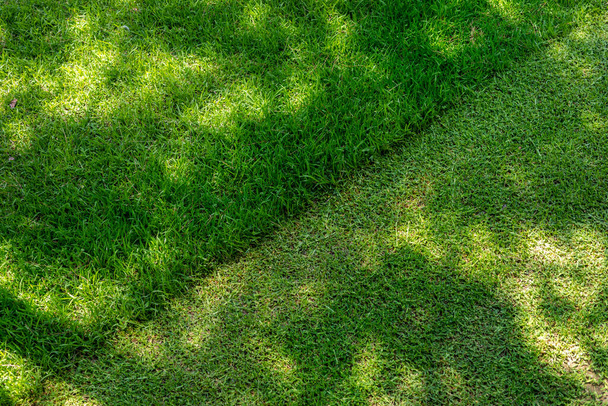 Rovný úhlopříčka posekané vysoké trávy doma na dvorku nebo městského parku. Ořezávání trávníku a koncepce údržby zahrady. Péče o trávník na pozadí s poledními stíny - Fotografie, Obrázek