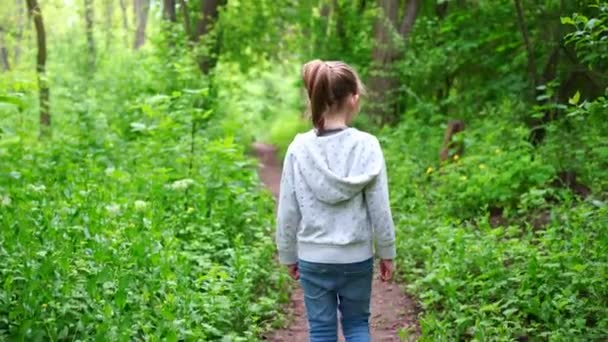 Kleines Mädchen allein im Wald vor jemandem davongelaufen. - Filmmaterial, Video