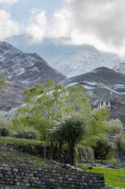 Засніжені дерева і традиційні будинки в долині Шань, в сухих гірських масивах Лех-Ладакх, Індія. - Фото, зображення