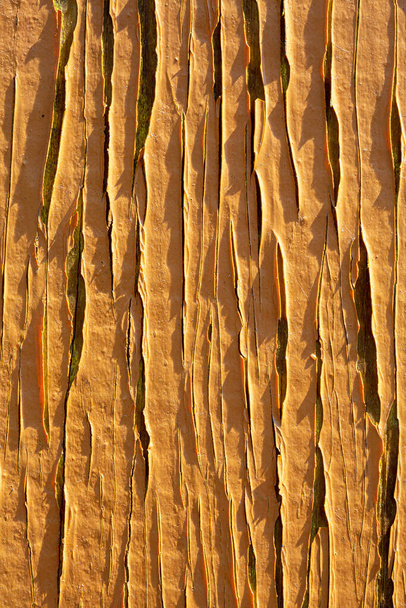 Грандж текстури дерева візерунка
 - Фото, зображення