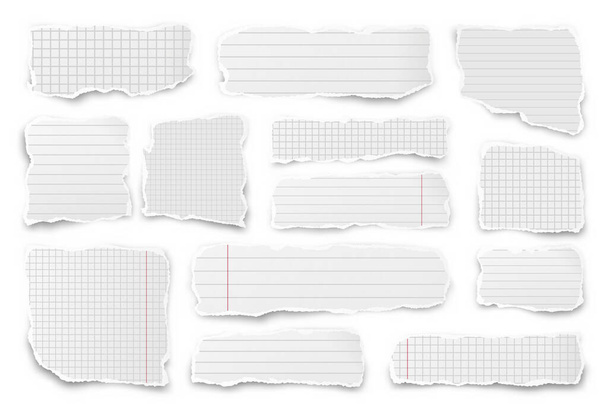 Ripped paper strips. Realistic crumpled paper scraps with torn edges. Lined shreds of notebook pages. Vector illustration. - Vector, Image