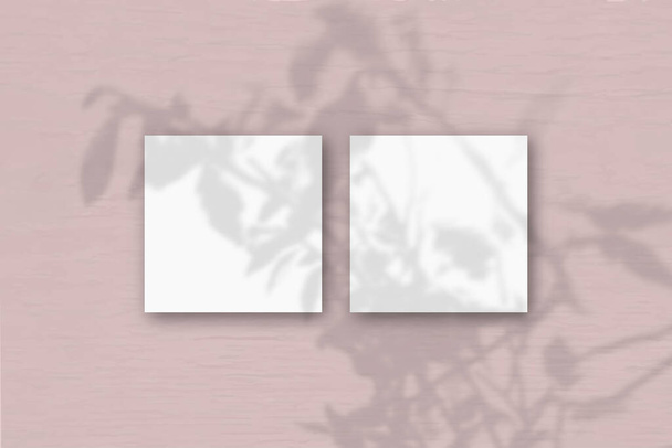 2 τετράγωνα φύλλα από λευκό χαρτί υφής στο φόντο του ροζ τοίχου. Mockup επικαλύπτονται με τις σκιές των φυτών. Φυσικό φως ρίχνει σκιές από ένα εξωτικό φυτό.Επίπεδη lay, κορυφαία θέα. Οριζόντια κατεύθυνση - Φωτογραφία, εικόνα