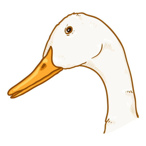 Vector Cartoon Duck Head Illustration - Vektor, Bild