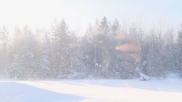 Hermoso bosque cubierto de nieve es visible desde la ventana de un tren de viaje
. - Foto, Imagen