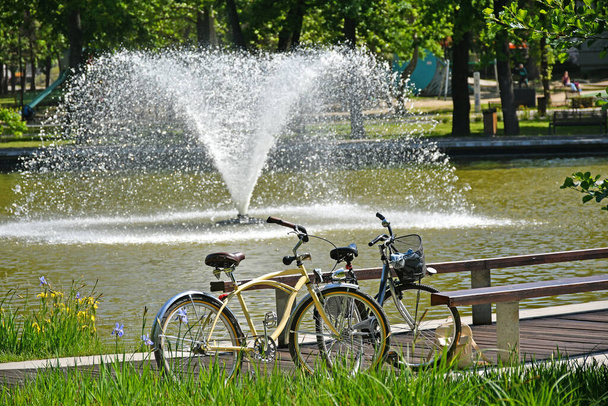Bicycles next to a fountain in the pond - Foto, immagini