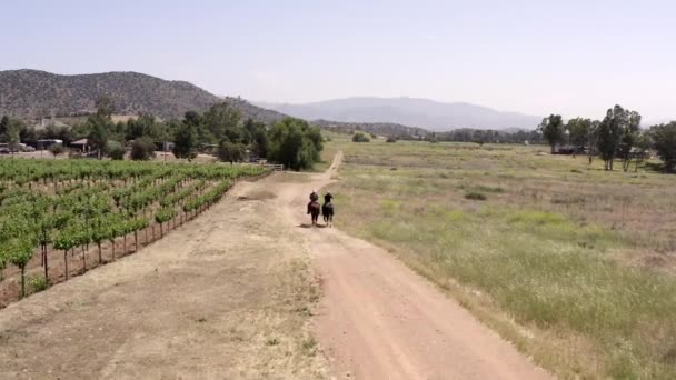 Two horse riders on horseback walking on vineyard country track, aerial follow - Footage, Video