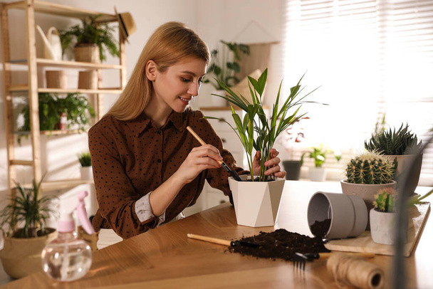 Young woman potting beautiful plant at home. Engaging hobby - Fotó, kép