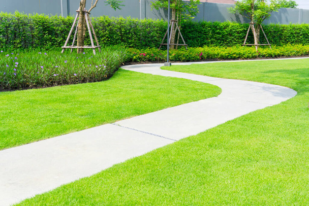 灰色の曲線模様の歩道、コンクリート舗装の仕上げを洗浄砂、庭、木、低木や背景に灰色の壁に滑らかな緑の芝生 - 写真・画像