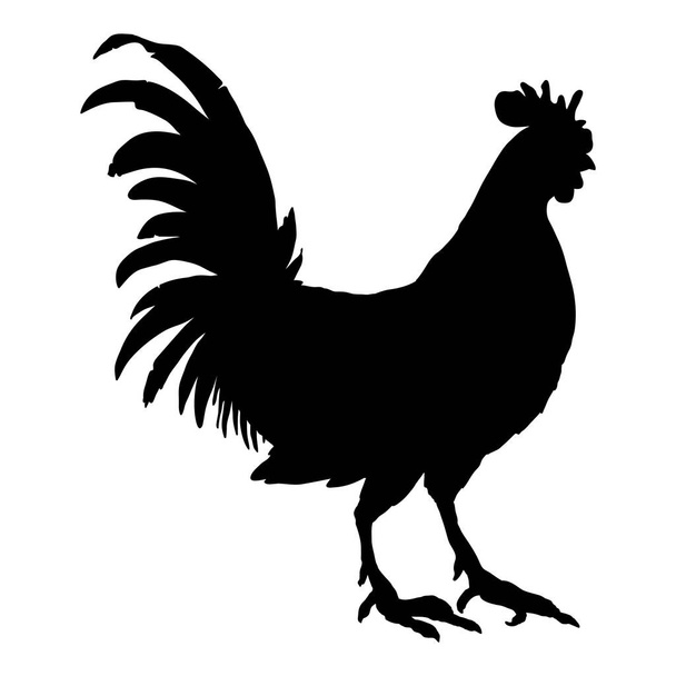 Silhouette vectorielle de Coq. Icône de volaille noire
 - Vecteur, image