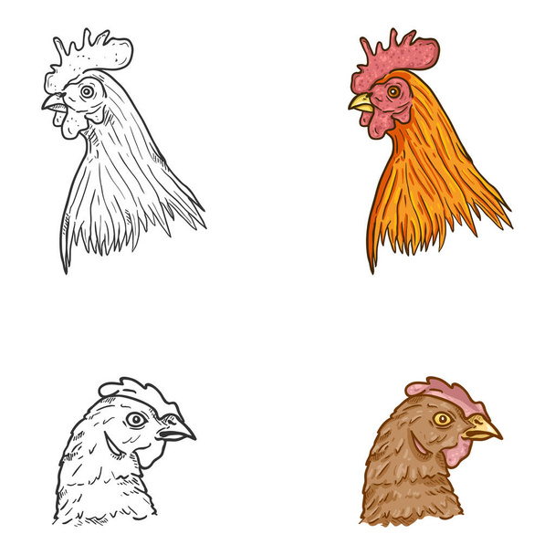 Vector Set of Hen and Rooster Faces. Cartoon and Sketch Illustrations - Vector, Image