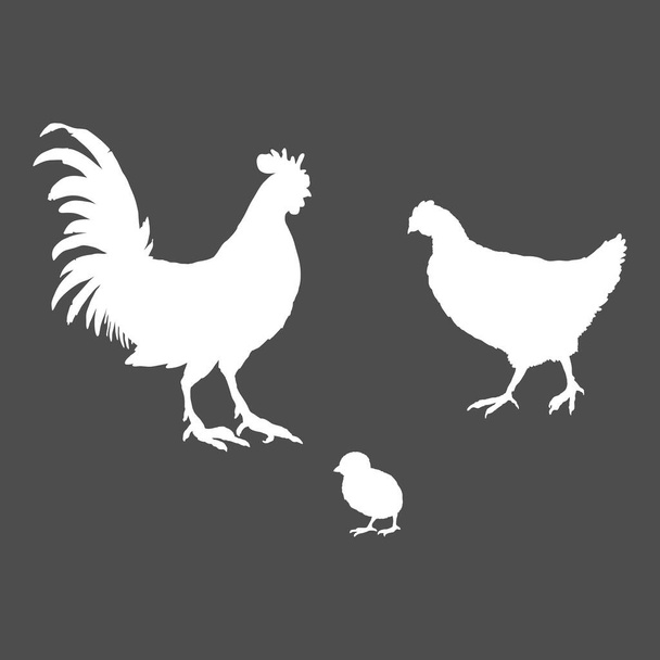 ベクトルホワイトシルエット養鶏鳥のセット。酉、チックと編。鶏のアイコン. - ベクター画像