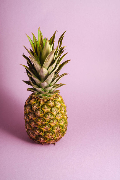 Fresh sweet pineapple on pastel blue purple background, angle view copy space - 写真・画像