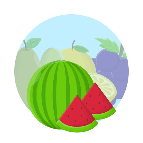 Vodní meloun Čerstvé ploché ikony Design - Vektor, obrázek