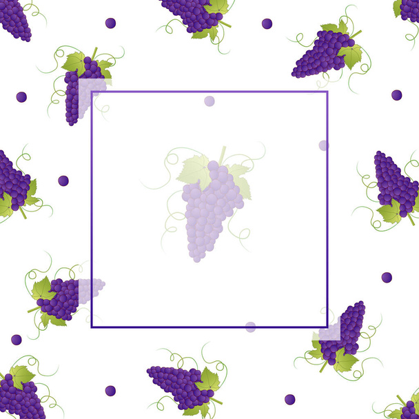 Pueple Grape Banner on White Background. - Vector, Image