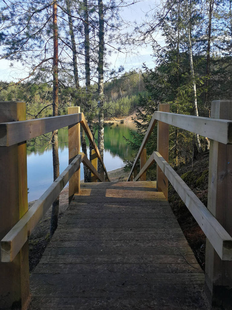Houten walkboard dat naar de oever van het meer leidt. Idyllisch wandelpad tussen bomen en bestemmingspunt verderop. - Foto, afbeelding