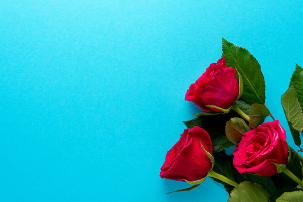 Red roses on blue background. Greeting card for Valentines Day, Womens Day. Minimal holiday concept. - Valokuva, kuva