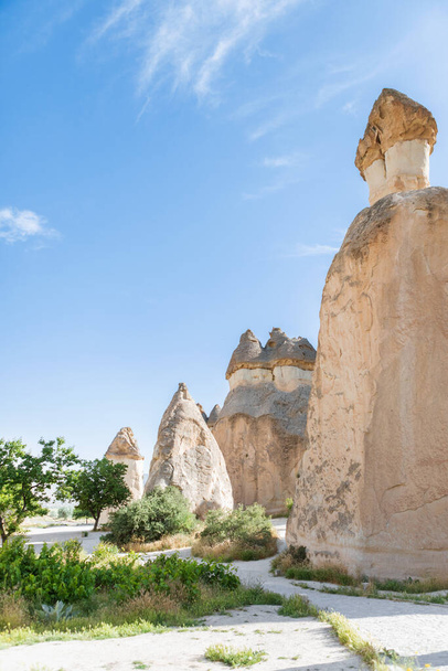 Valleys Of Cappadocia, Turkey. Known for their huge stone "mushrooms", they are the hallmark of Cappadocia. Travel concept background. - Fotoğraf, Görsel