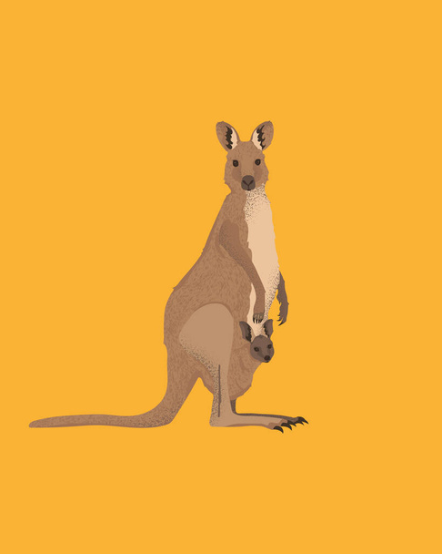 Kanguru anne çocuğunu bir cebe saklıyor. Dişi Avustralya valbisi yavrusuyla ilgilenir..  - Vektör, Görsel