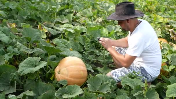 boer in de buurt pompoen, jonge boer verheugt zich in de oogst - Video