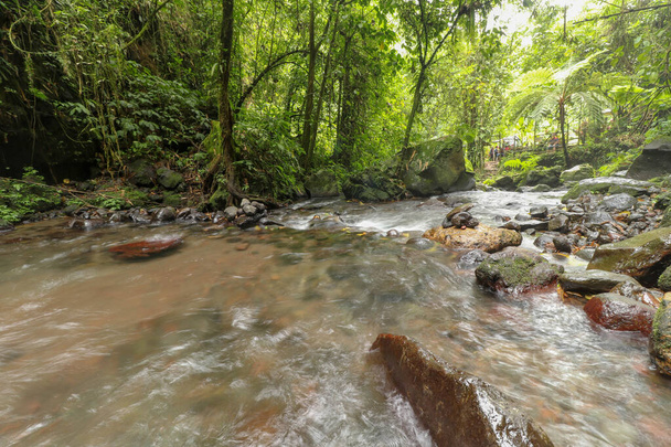 Small mountain river flows among stones in mountainous areas through forest. Natural landscape, with a clean river a beautiful landscape, clean air. Ecologically clean area Jatiluwih, Bali, Indonesia. - Photo, Image