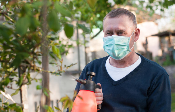 middle aged european man with sprayer pump sprays the plants in surgery face mask on backyard background in sunny spring day - Photo, Image