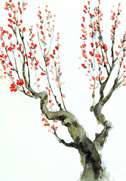Watercolor background. Red flowers on tree branches - Photo, Image