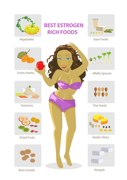 Estrogen foods Vector Illustration - Vector, Image