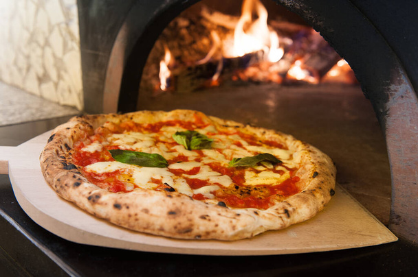 приготовление действительно итальянской пиццы Маргариты. пицца возвращается из духовки
  - Фото, изображение