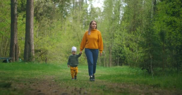 スローモーションでは、母親と息子はセーターで公園を歩く。愛する母親は息子と一緒に松林の中を歩く。母の日。白人女性とともに面白いです男の子2歳. - 映像、動画