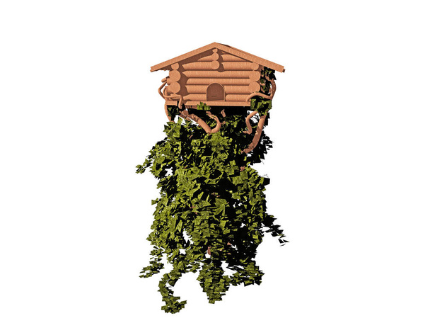 ツタで生い茂る木造バードハウス - 写真・画像