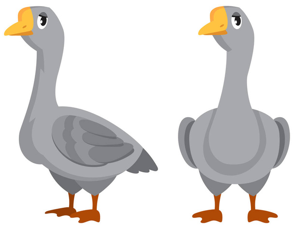 Male goose in different poses. - Vector, afbeelding