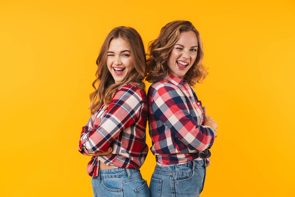 Image of two young beautiful girls wearing plaid shirt smiling and standing back to back isolated over yellow background - Valokuva, kuva