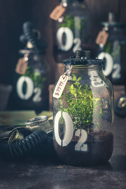 Bizarre jar with plant and mask as air pollution symbol - Zdjęcie, obraz